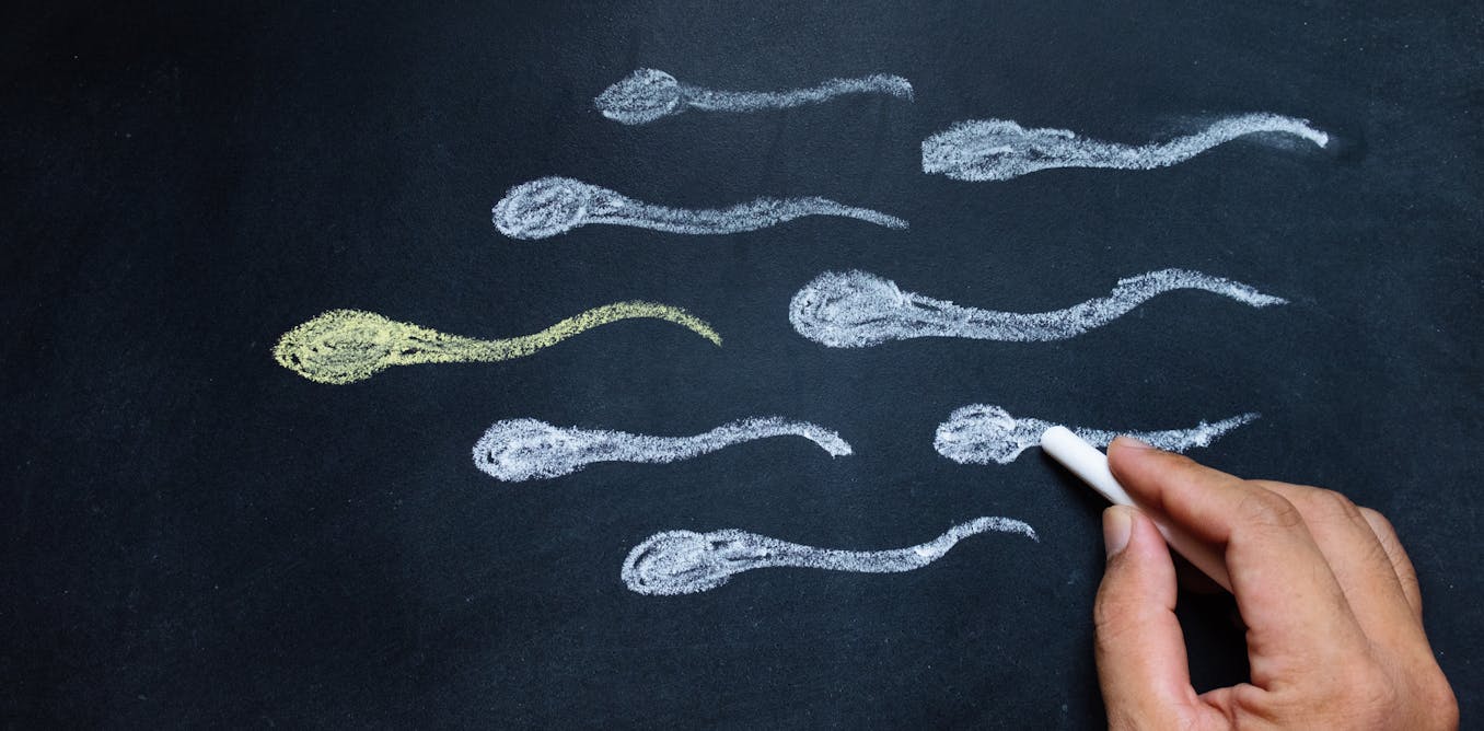 What’s the difference between sperm and semen? And can pre-ejaculate get you pregnant?