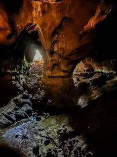 A vibrant limestome cave entrance with a creek bed in the foreground.