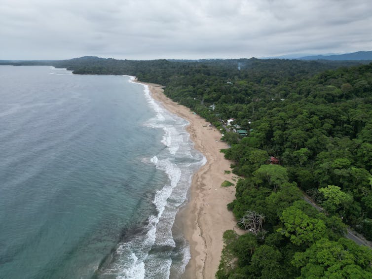 an aerial view of a long stretch of beach with waves crashing to shore