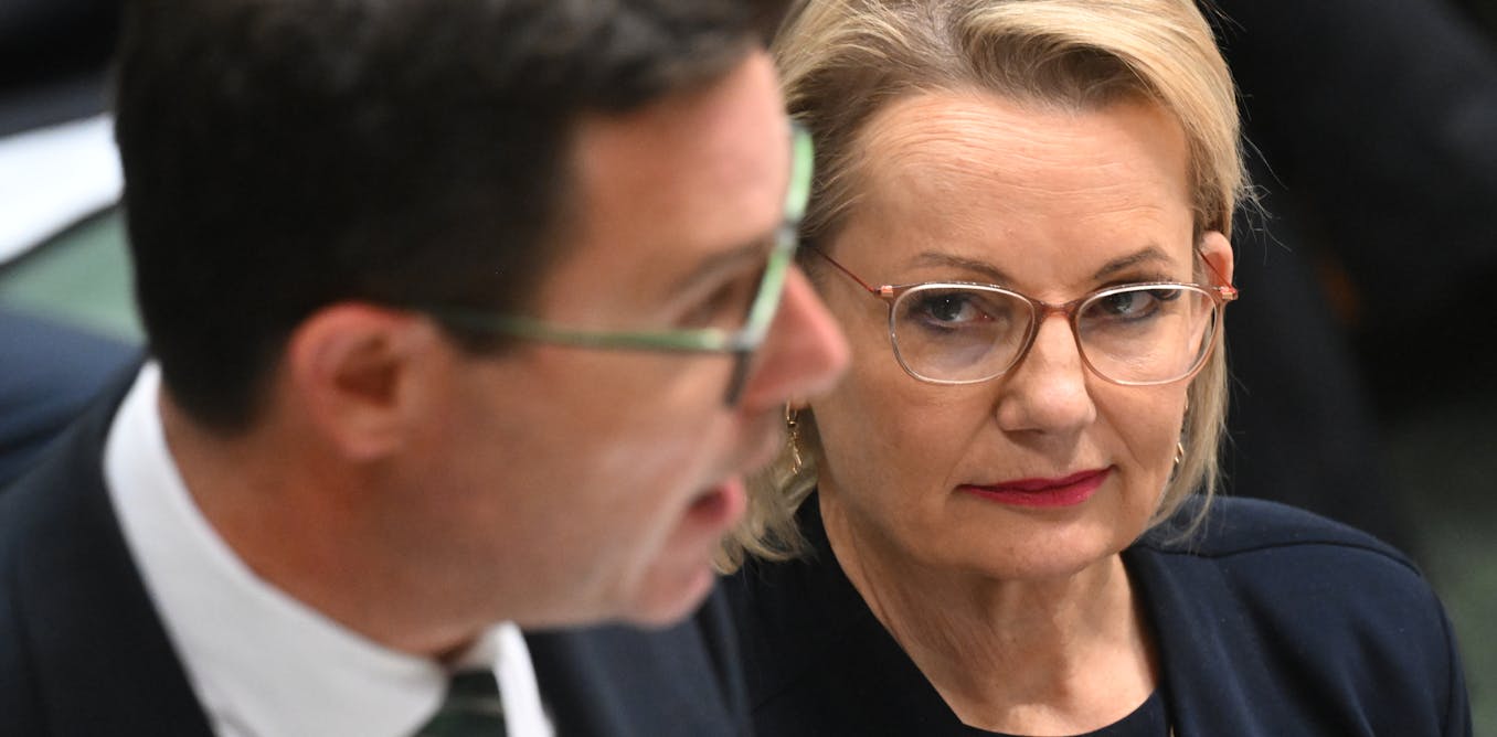 net zero battle has net zero positives for Sussan Ley