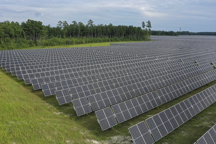 A solar farm in a field.