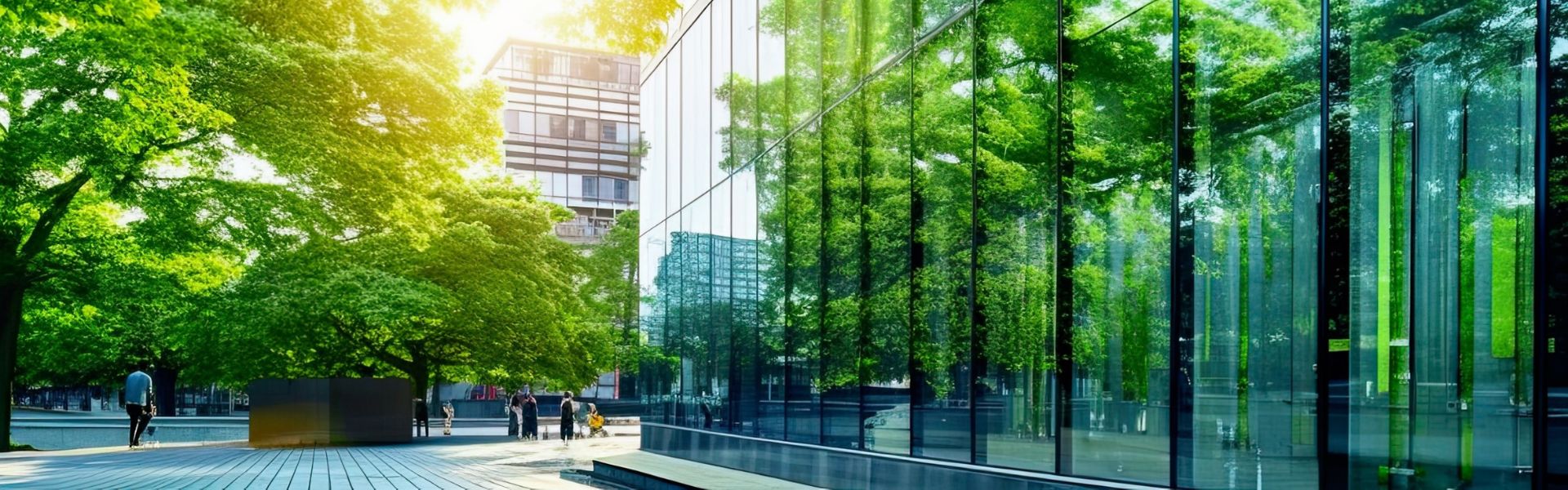 H1 2025 earnings press release