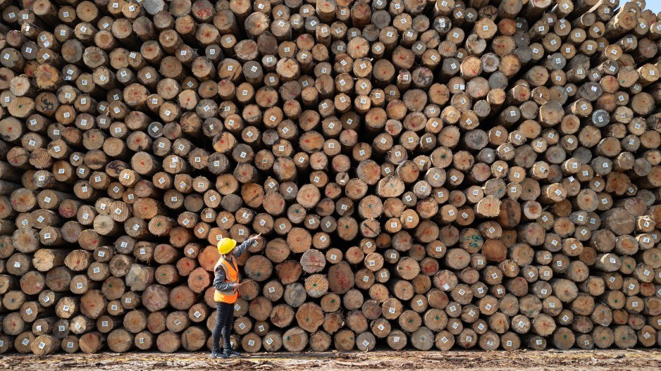 Softwood duties hit hard with BC forest sector already down
