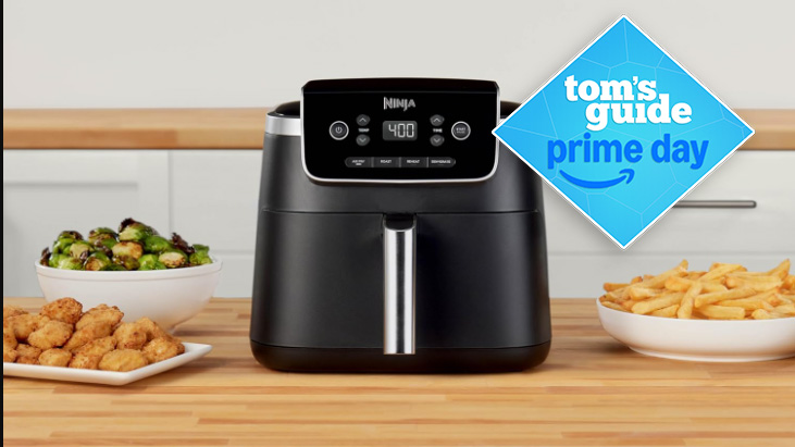 Ninja Air Fryer Pro 4-in-1