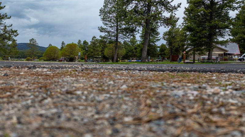 A smartwatch led rescuers to a fatal plane crash in Montana woods