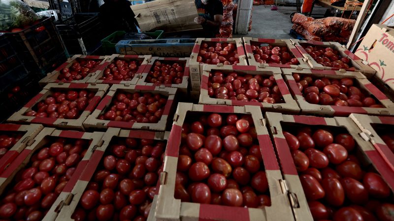 US tomato prices could jump as soon as Monday