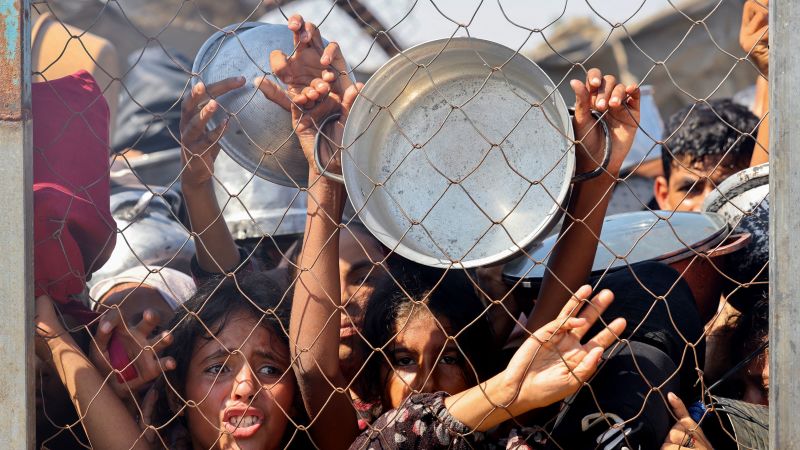 ‘Worst-case scenario of famine’ is unfolding in Gaza, UN-backed food security initiative says