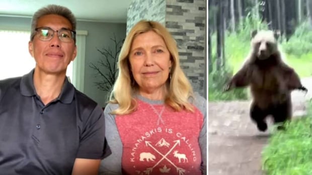 This grizzly followed a Calgary couple along a popular trail until they finally roared at it