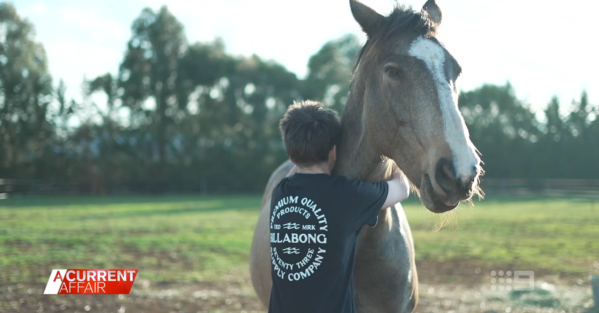 School bus crash victim still in pain two years after doctors missed concussion diagnosis