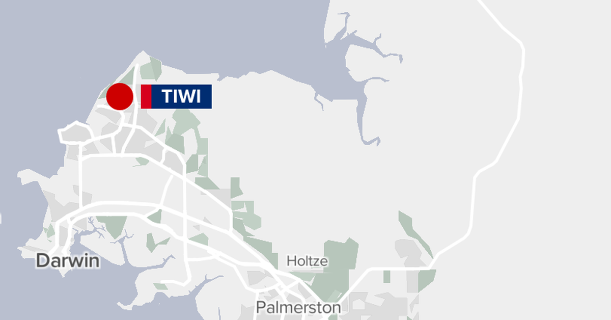 Girl, seven, dies after being struck by fallen palm tree while playing in backyard