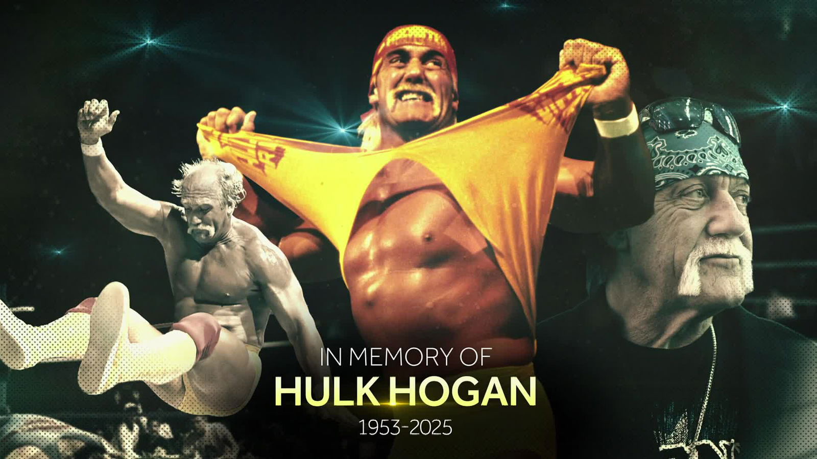 WWE News: Brooke Hogan breaks silence on death of Hulk Hogan
