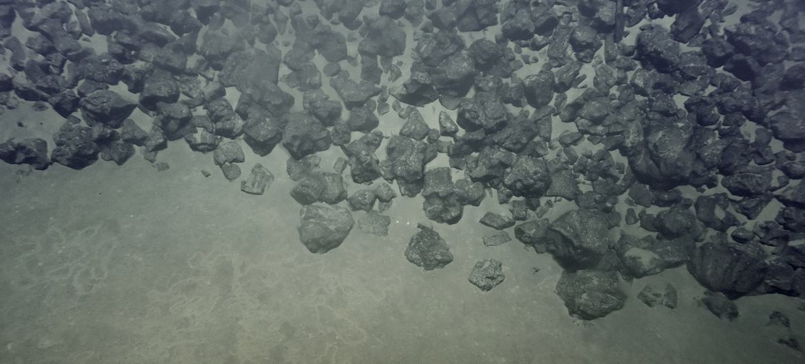 UN warns against deep-sea mining free-for-all