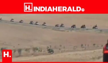 Jihadists On Their Way To Sweida To Massacre THOUSANDS of C