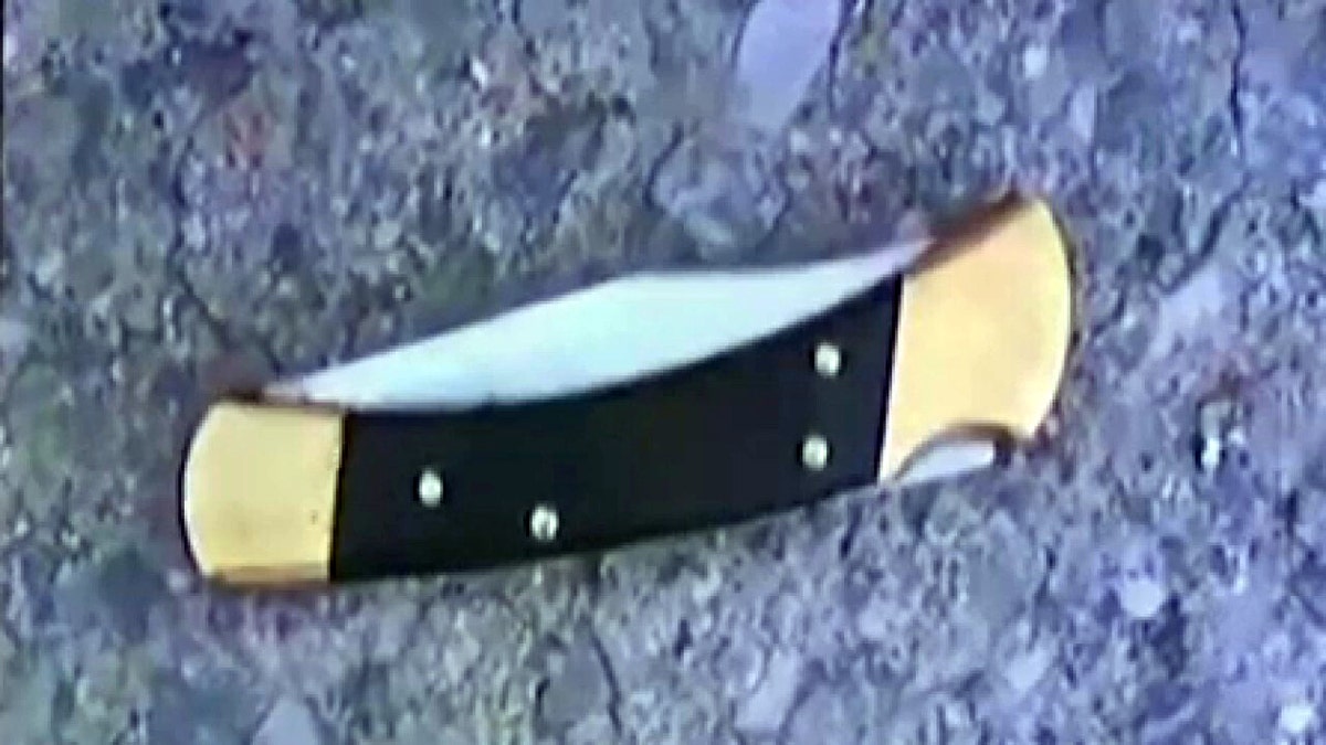 Michigan Knife