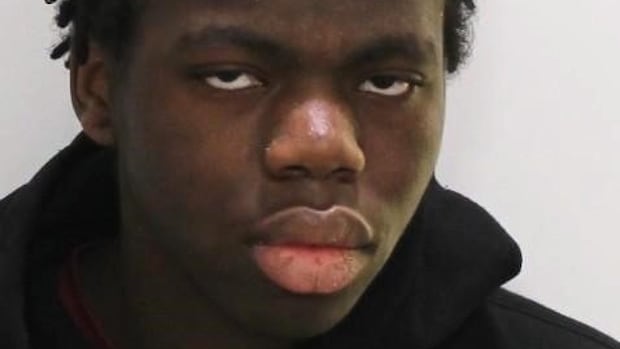 Police ID suspect, 14, in fatal stabbing of woman in North York parking lot