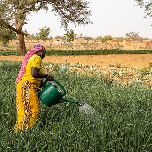 International Day of Awareness of the Special Development Needs and Challenges of Landlocked Developing Countries