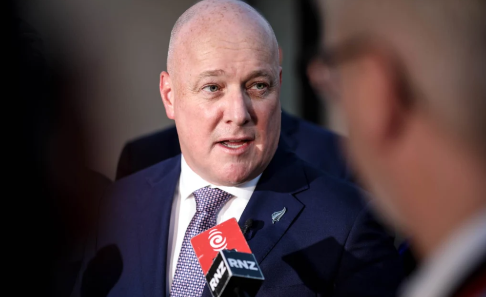 NZ 'back on course', govt says