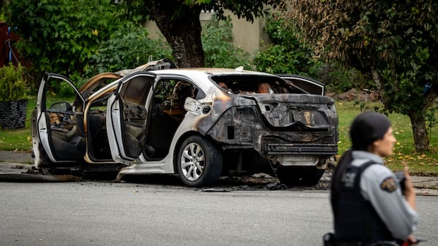 Dsipute that left 3 dead in Maple Ridge, B.C., had been going on for years, neighbour says