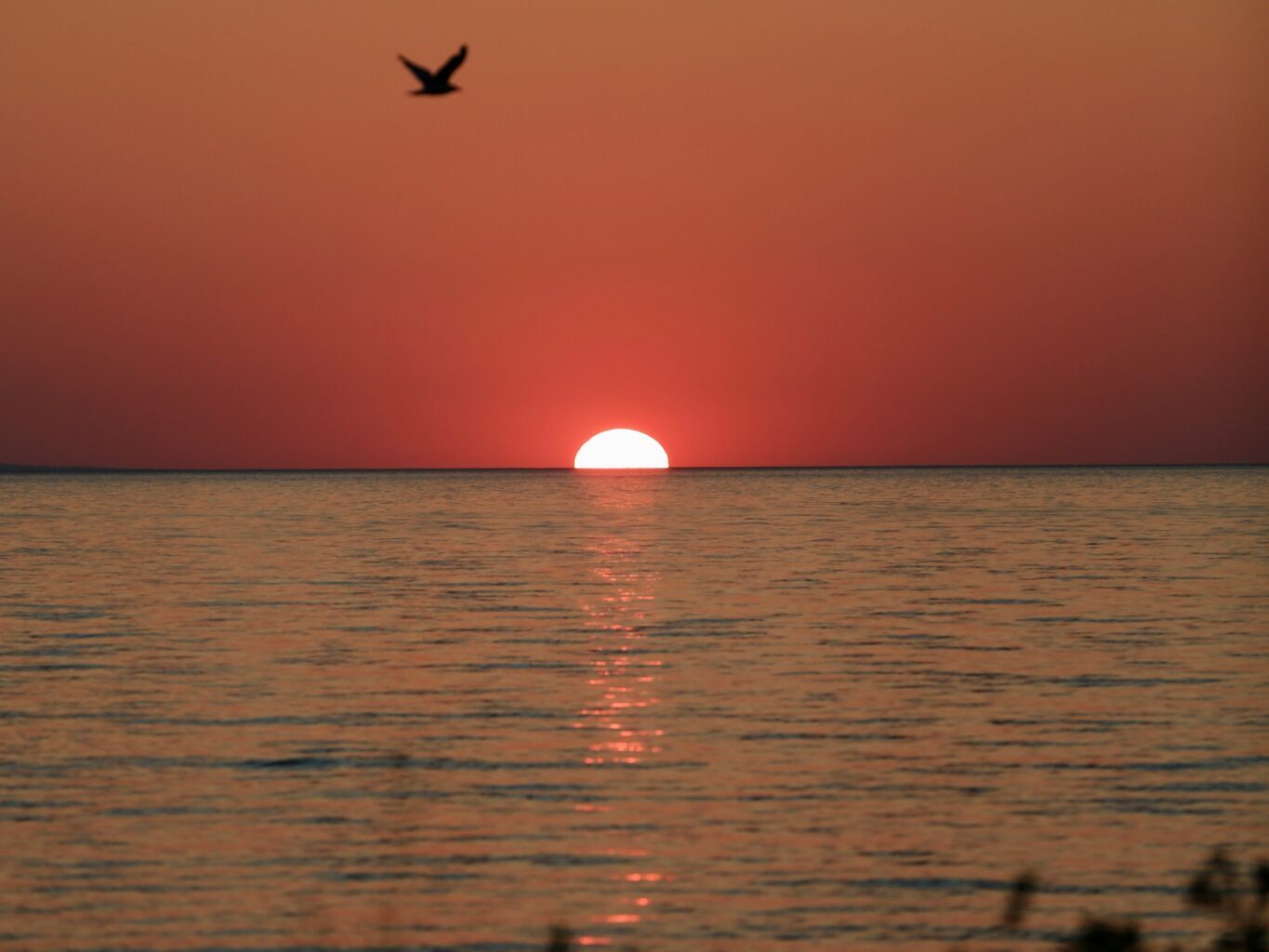 Ontario Plans to Sell Part of Wasaga Beach Provincial Park for Development Project