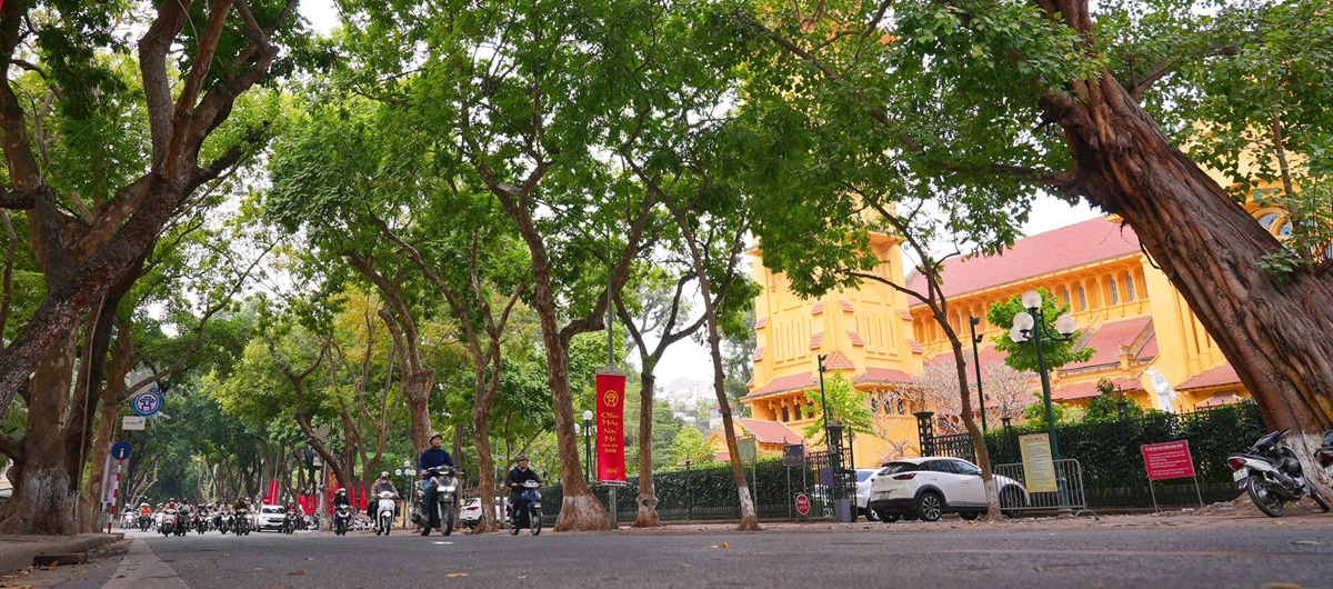 WHO unveils health and environment scorecards for 194 countries