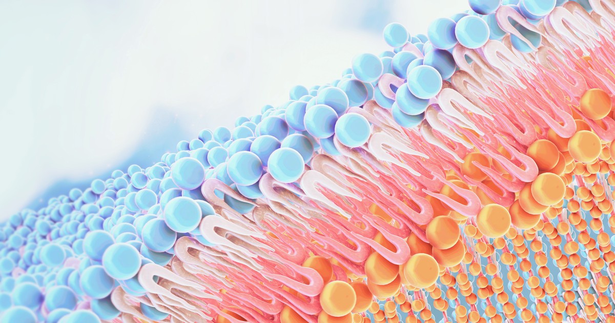 Bio-inspired membrane unlocks potential to purify and extract water