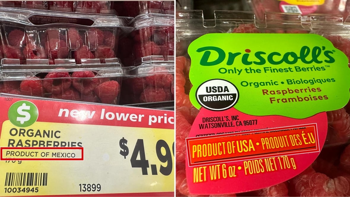 Organic raspberries displayed at a Toronto Metro store with a "Product of Mexico" on the sign. The berries' packaging said the product was from the U.S. 