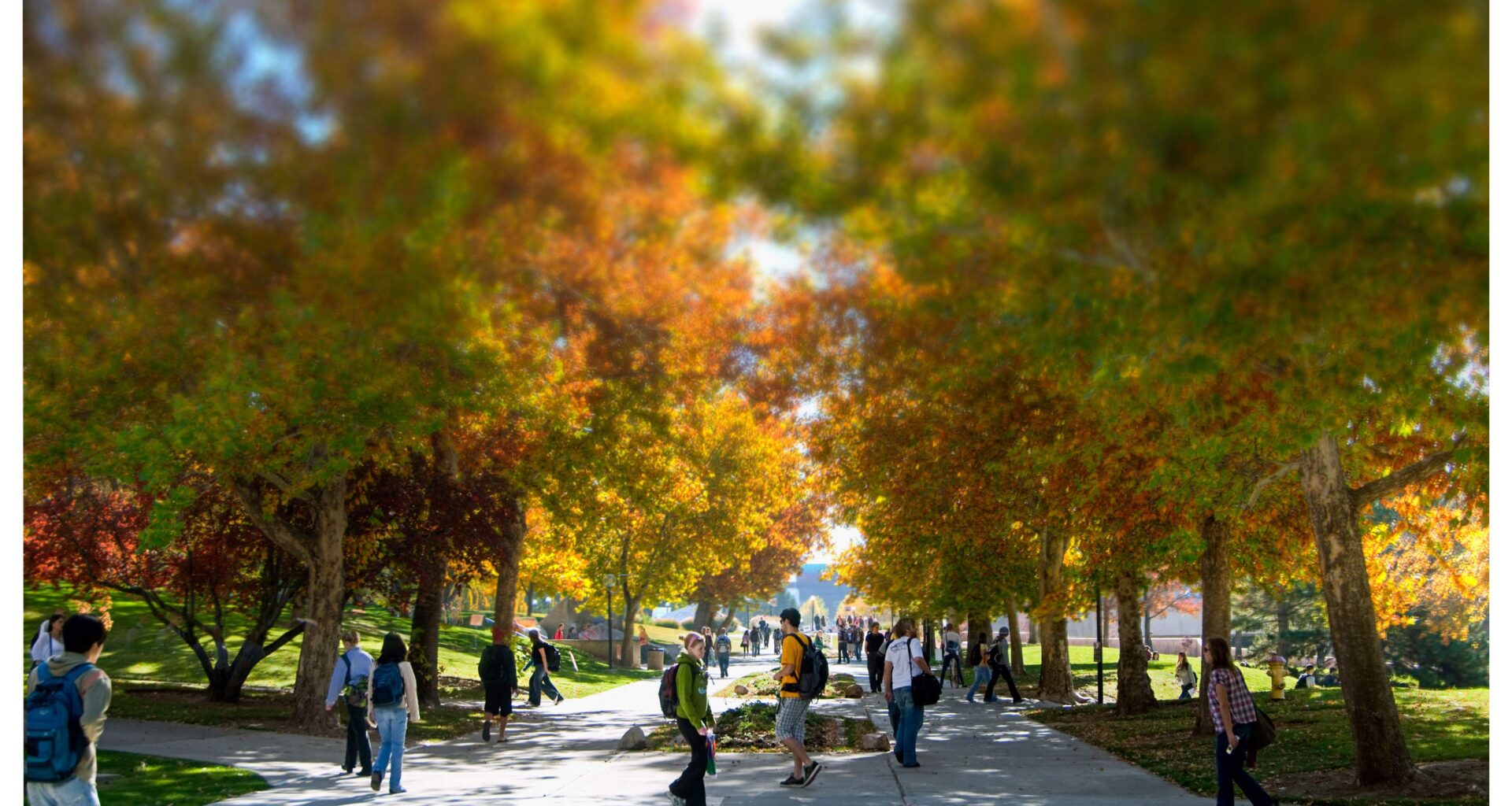 Mental Health on Campus: A Guide for New and Returning College Students