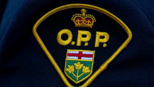 Toronto man drowns while kayaking in Wasaga Beach: OPP