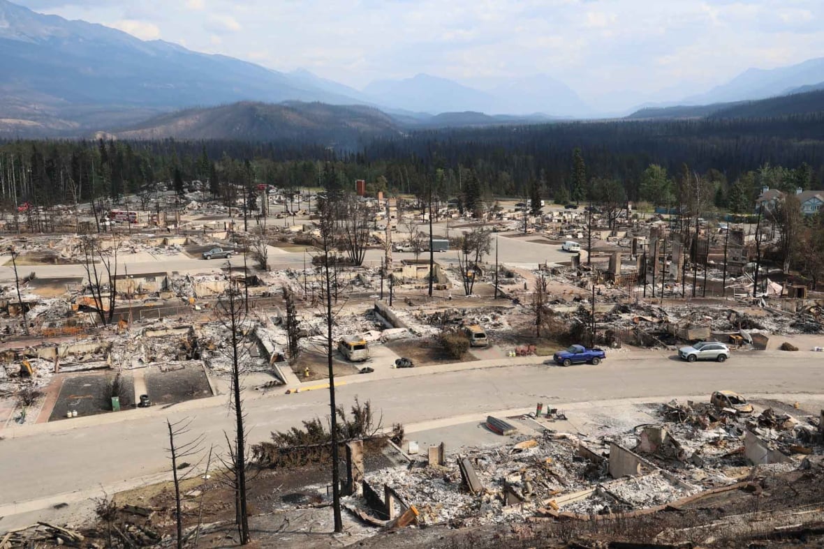 An aerial view of burned trees and debris on a street with cars parked. 