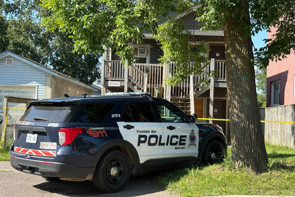 Police investigating murder on Pearl Street, suspect remains at large