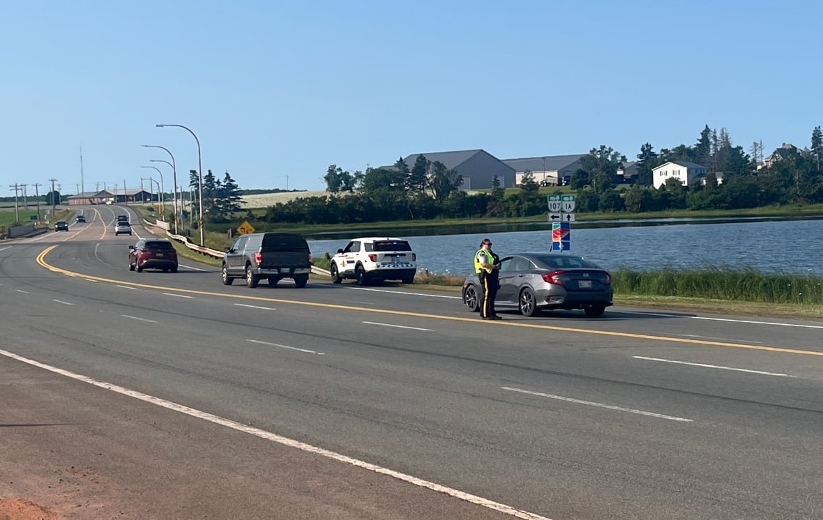 A police officer interacting with a driver on a road by a body of water with a police car nearby