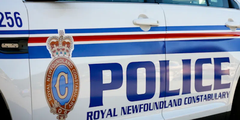 Slam Dunk to Slammer: Man Arrested for Throwing Basketballs at Traffic