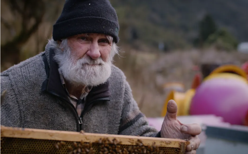 Search resumes for missing West Coast tramper