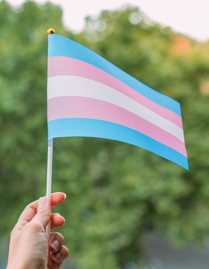 Hand holding a small transgender pride flag representing transition and detransition experiences of a model pushed to transition.