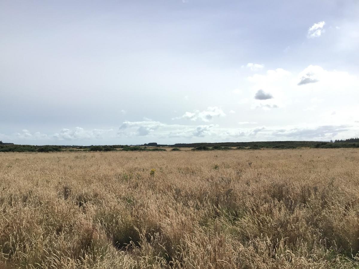 Council to sell 48ha of land to trust for $1