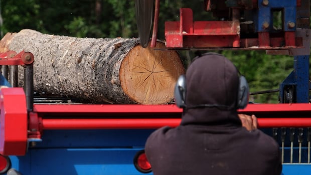 U.S. slaps 20.56% anti-dumping duties on Canadian softwood lumber