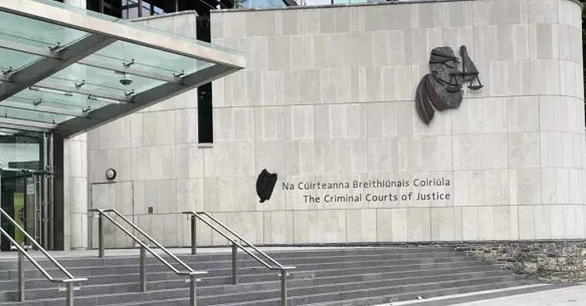 Serial handbag thief stole bag containing €30k worth of cancer medication