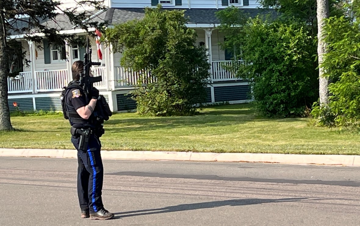 A police officer stands in front of a house with a gun drawn.