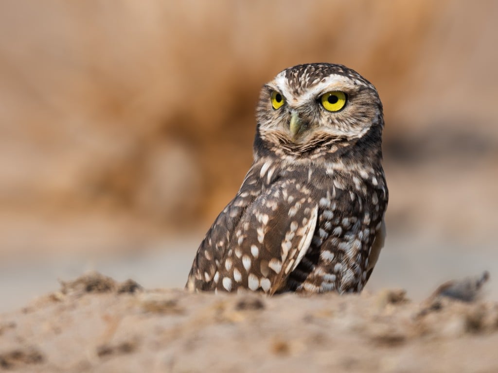 ERM publishes 2025 Sustainability Report highlighting global impact and future priorities