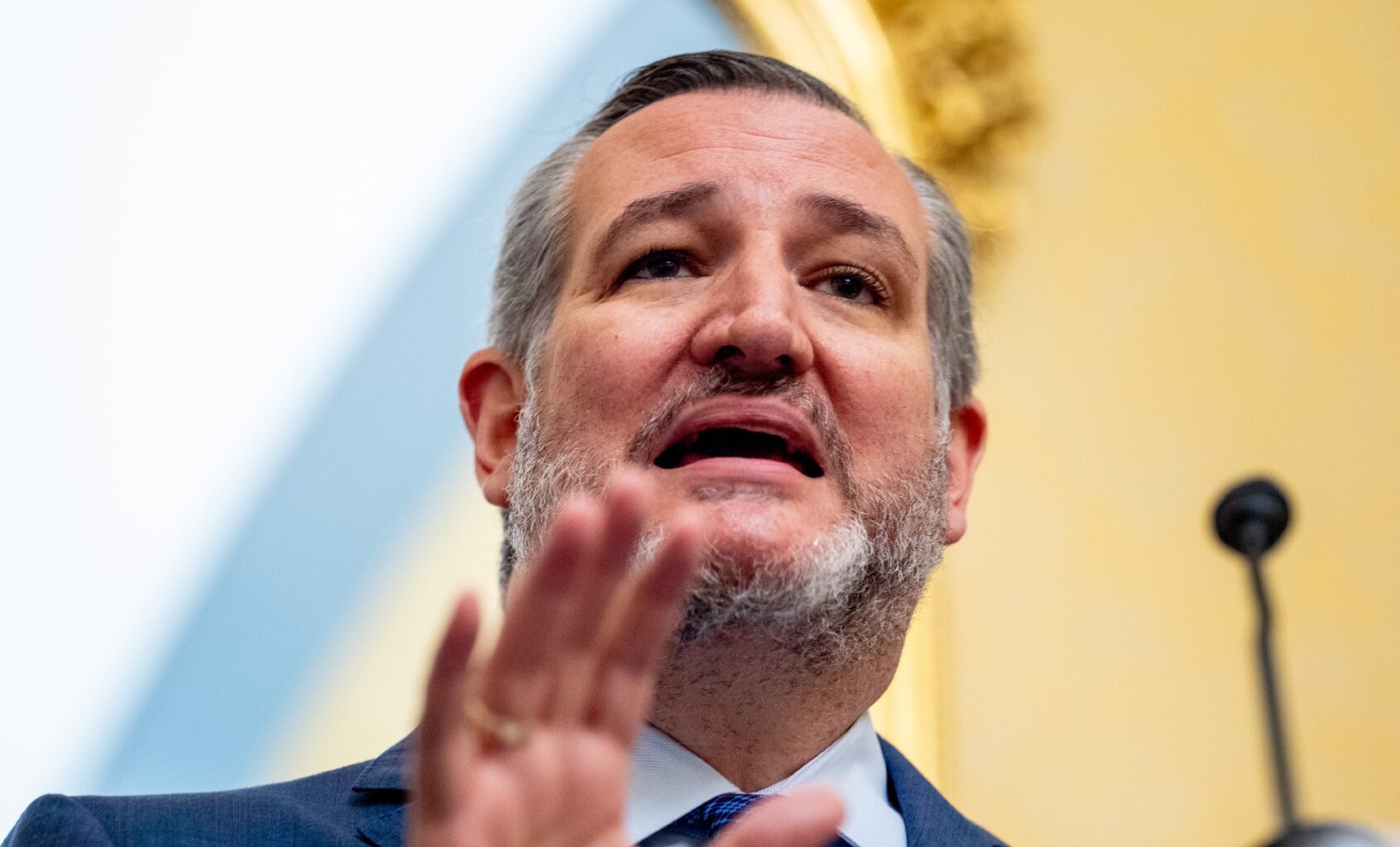 Sen. Ted Cruz (R-TX) speaks at a news conference to unveil the Take It Down Act to protect victims against non-consensual intimate image abuse, on Capitol Hill on June 18, 2024, in Washington, DC. (Andrew Harnik/Getty Images)