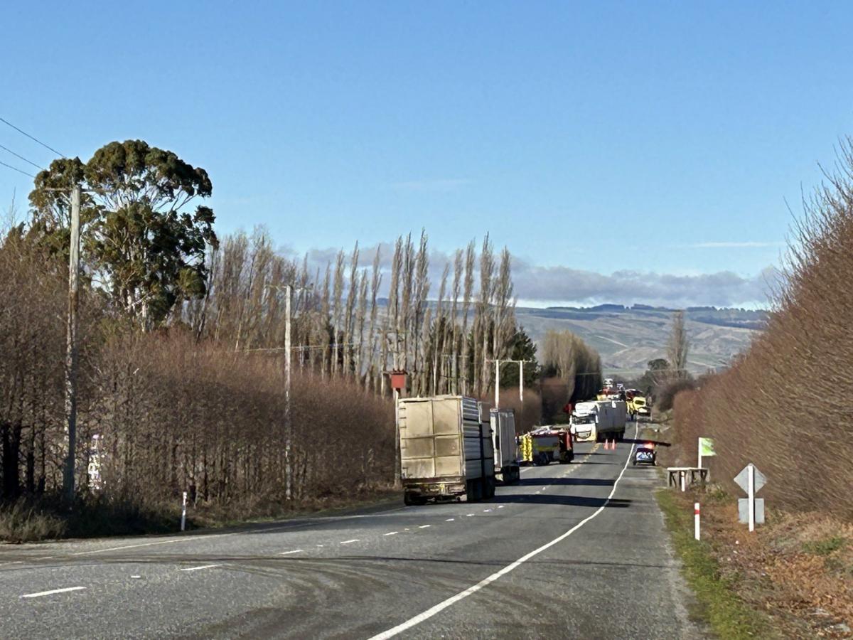 Police name victim of head-on crash near Roxburgh