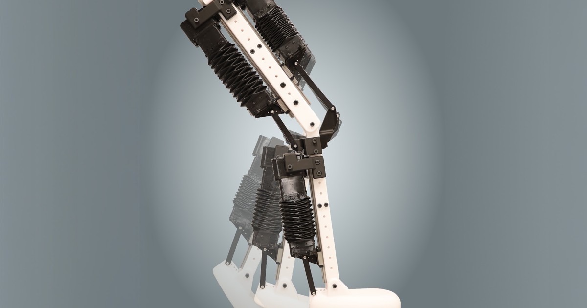 ‘Bone-ified muscles’ could be robots’ next flex : For Journalists