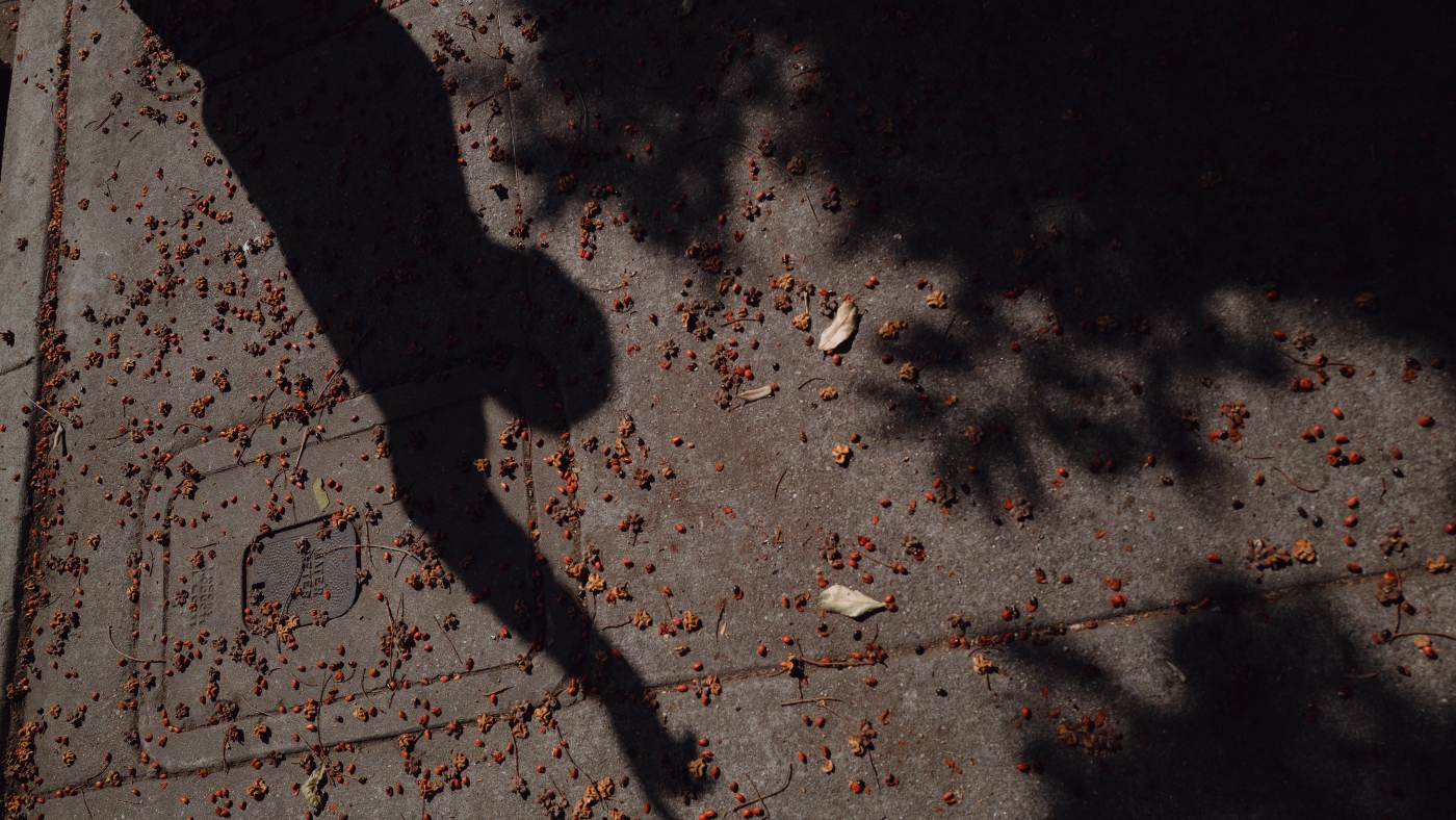 Anger grows over alleged racial profiling in immigration raids : NPR