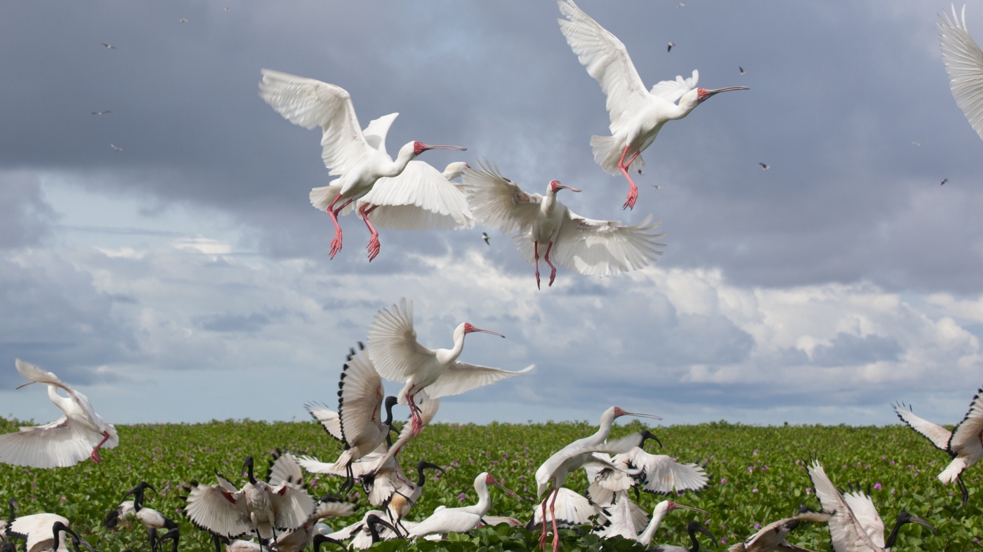 Here are some of the newest UNESCO World Heritage sites : NPR