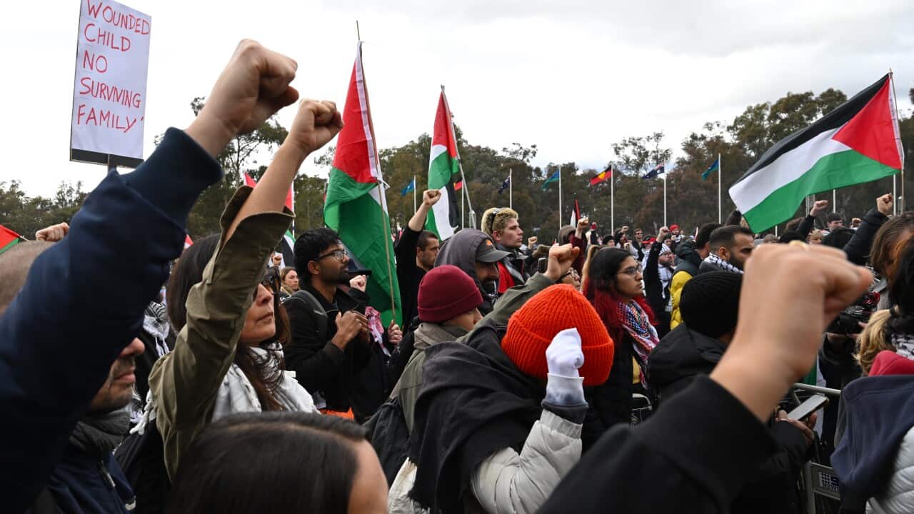 PALESTINE RALLY CANBERRA
