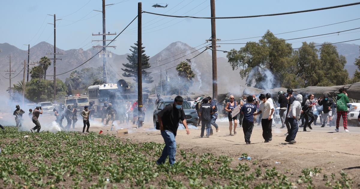 Immigration agents, protesters clash at Ventura County cannabis farm