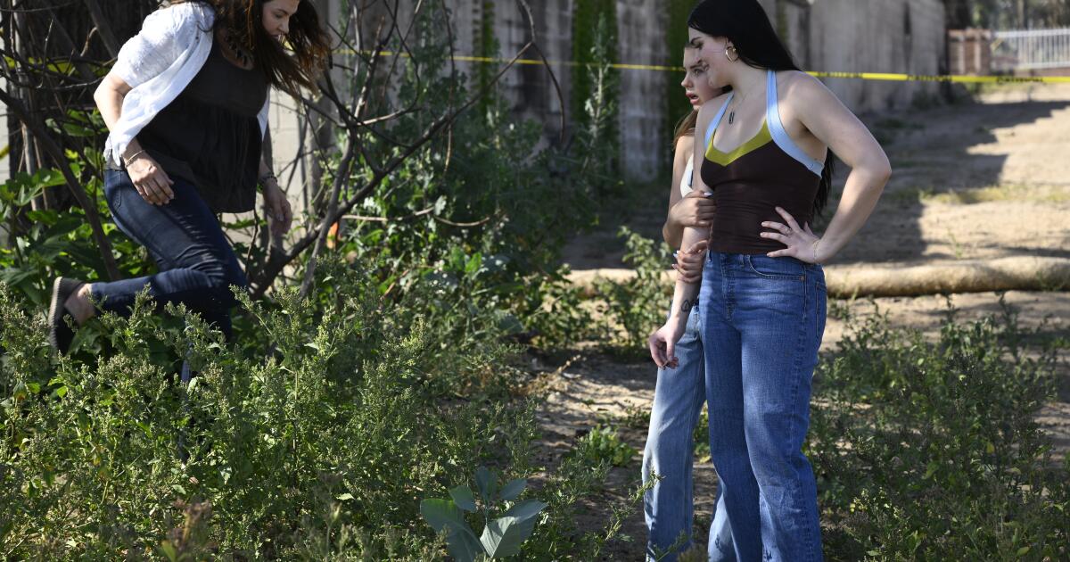 L.A. has never experienced loss on this scale. Measuring progress six months after the fires is hard and painful