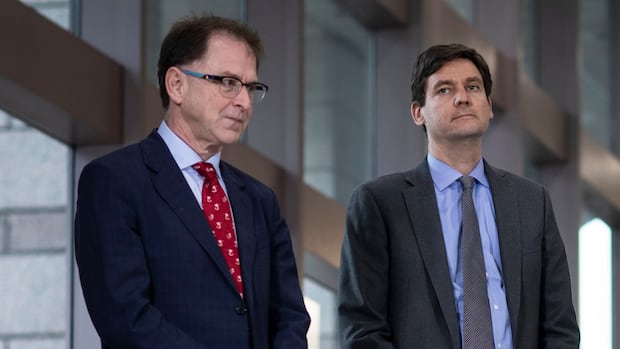 B.C. government accused of 'greenwashing' as it announces $200M to electrify LNG project