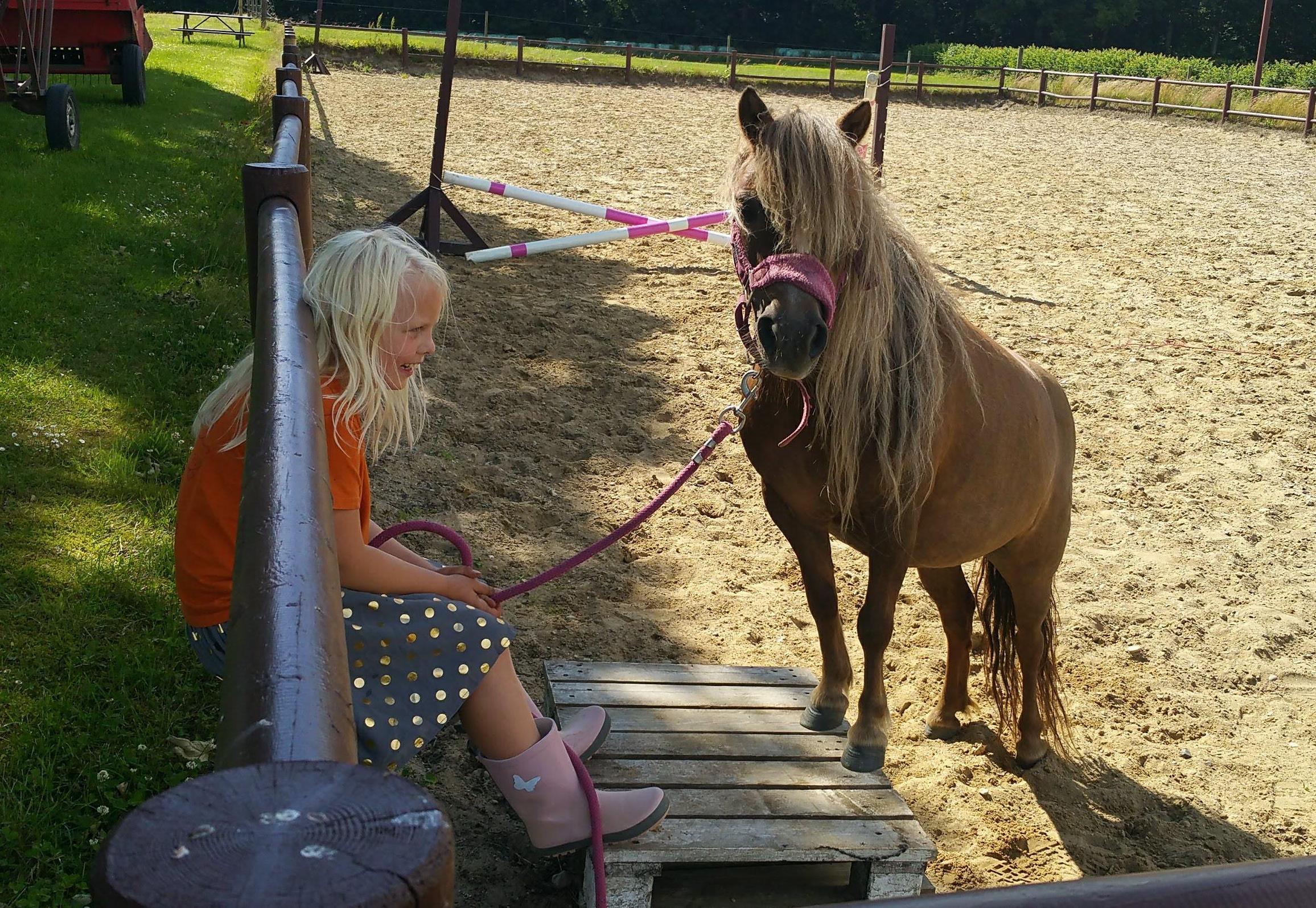 Girl with pony in an arena.