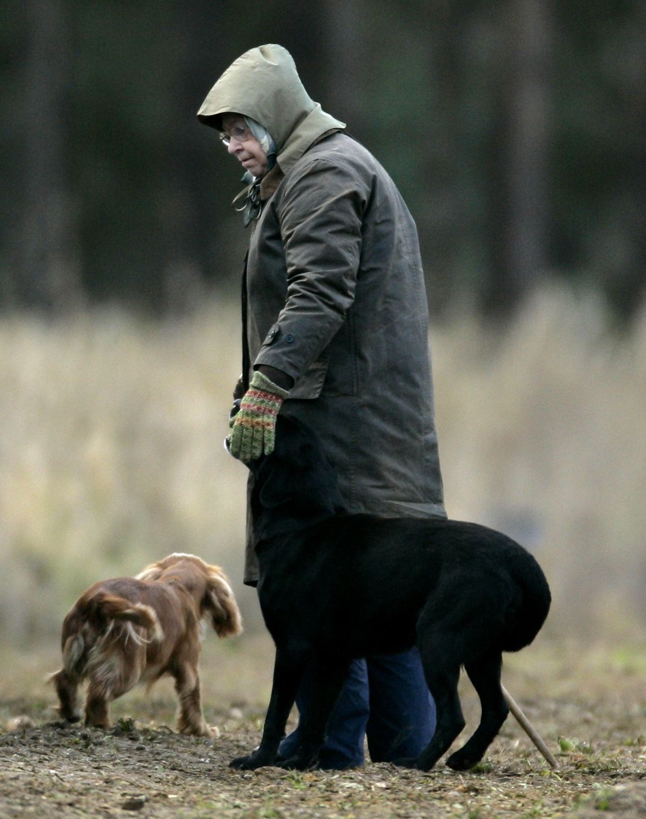 The Royal family on a Pheasant shoot at Sandringham, Norfolk, Britain - 03 Jan 2009